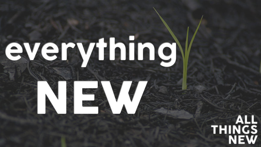 Background image of a seedling, with over laid text that says 'everything new'